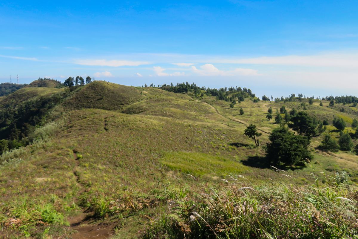 Etika Berwisata di Gunung Prau Jadi Sorotan Pasca Beredarnya Video Pendaki