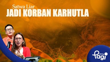 Dampak Karhutla di Kotawaringin Timur: Satwa Liar Kehilangan Habitat dan Terancam Punah