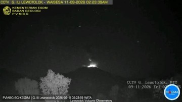 Aktivitas Vulkanik Gunung Ili Lewotolok Meningkat, Semburan Abu Capai 600 Meter