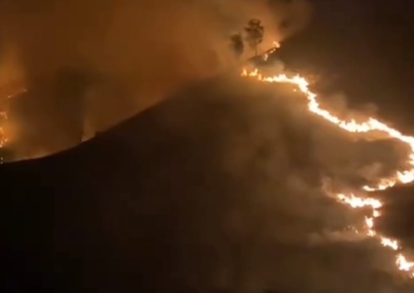 Situasi Terkini Kebakaran Lahan di Gunung Bromo: Upaya Penyelamatan Wisatawan Terus Dilakukan