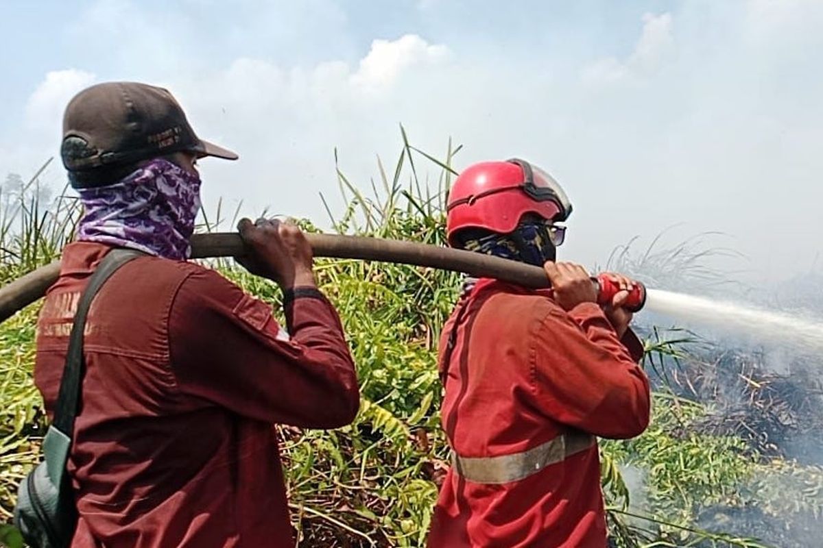Tren Titik Panas Karhutla Indonesia Menurun, Pemantauan Terkini Kemenhut Tetap Diintensifkan