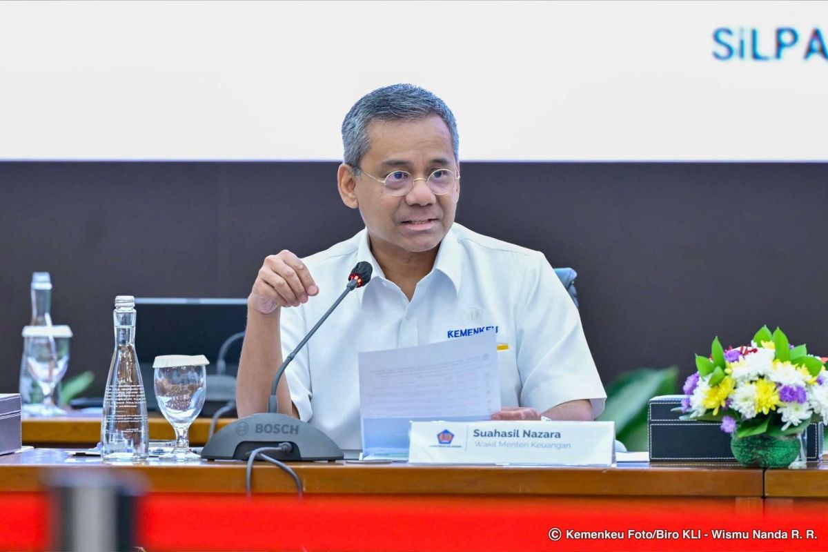 Profil Akademisi Suahasil Nazara: Menakar Arah Baru Kebijakan Fiskal Indonesia
