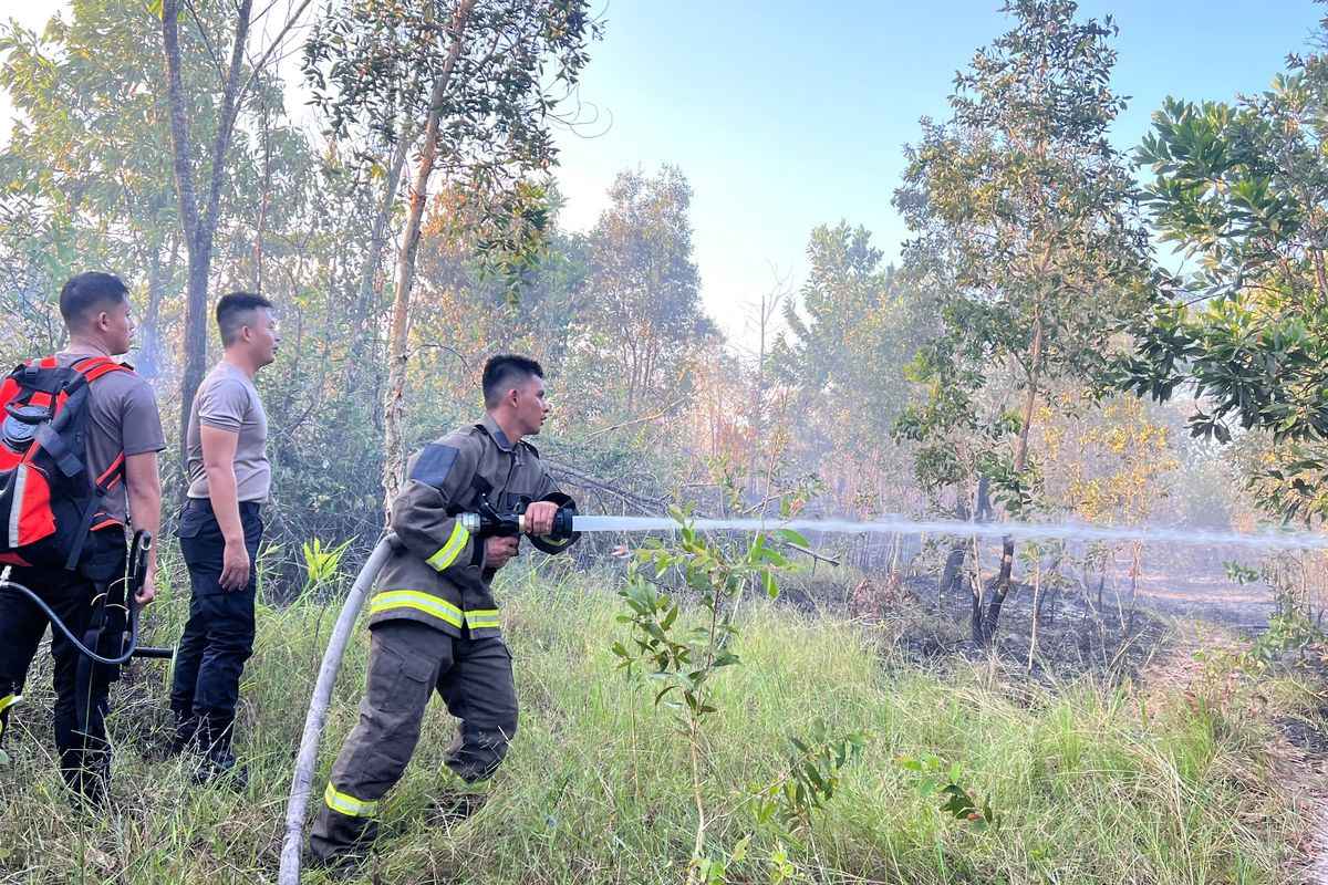 Pangkalpinang Waspada: 26 Lahan Terbakar dalam Dua Pekan, Bukit Intan Jadi Fokus Penanganan
