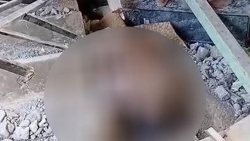 Tragis di Manggarai Timur: Gempa Renggut Nyawa Ibu dan Dua Anaknya dalam Pelukan Maut Reruntuhan
