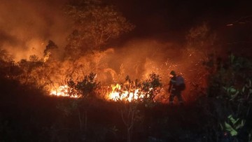 Dana Darurat Karhutla Kalimantan Rp 290 M Mendesak, DPR Desak Kemenkeu Segera Lepaskan